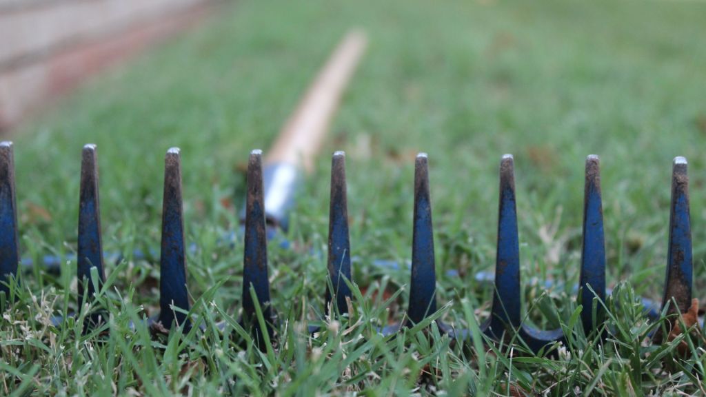 A garden lake lying prongs up on the garden, suggests danger.