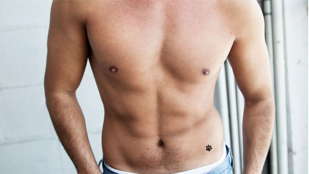 A man's torso with a pawprint on the left hip.