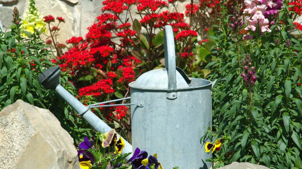 A watering can n a flower bed, suggests gardeiing. POst mentions a child helping with gardening.
