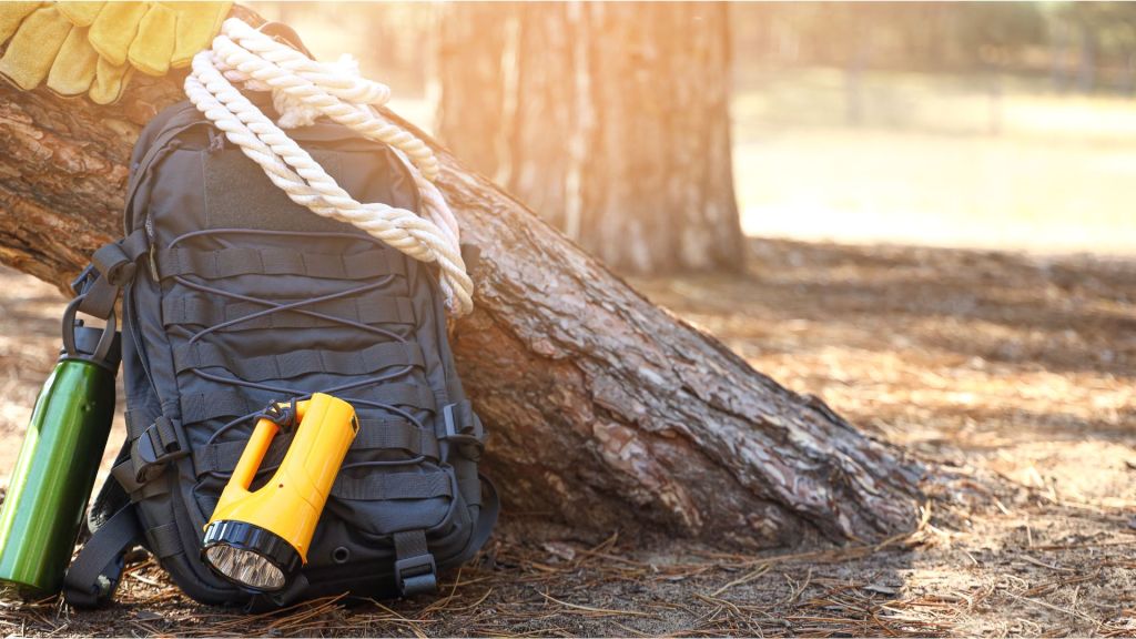cvacmping survival equipment near a tree stump, suggests survival from war